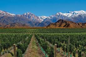 Mendoza la route des vins Argentine