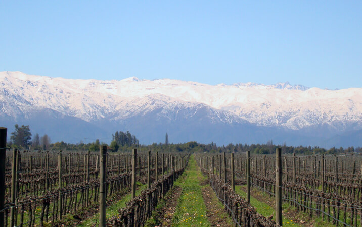 La vallée de Maipo