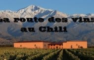 La route des vins au Chili