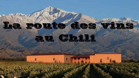 La route des vins au chili
