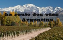 La route des vins Argentins
