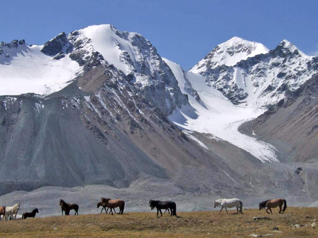guide de voyage en Mongolie l'Altai
