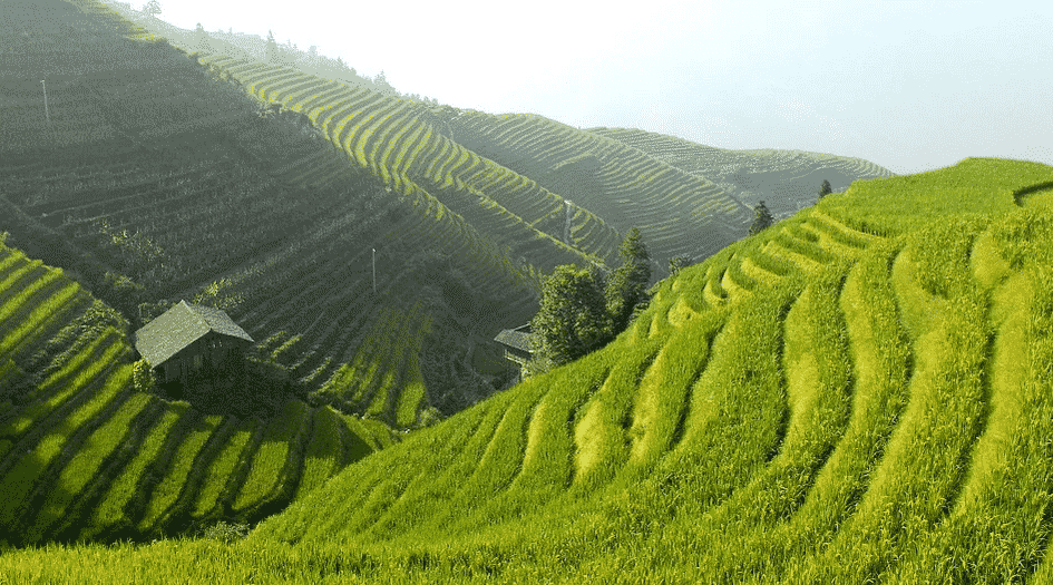guide de voyage en Chine les riziéres