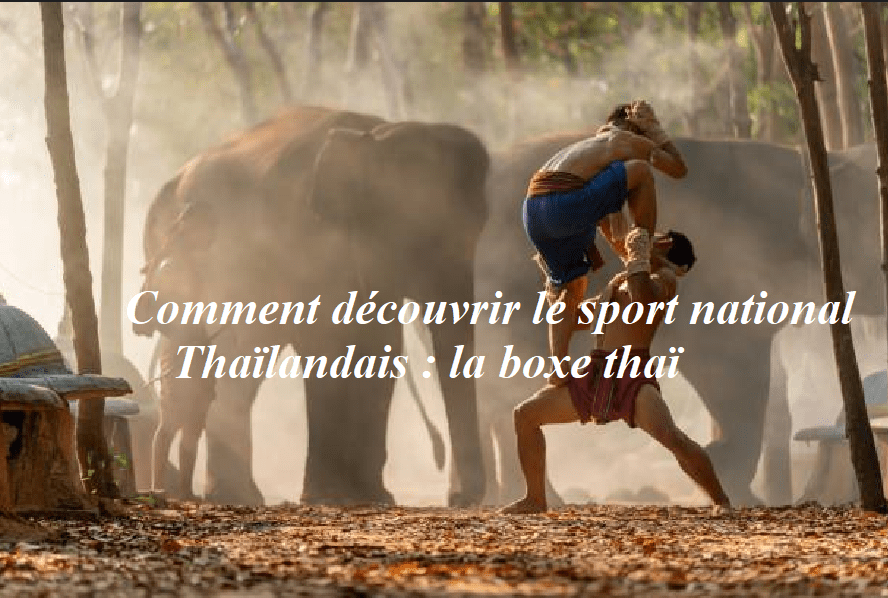 Comment découvrir le sport national thaïlandais : La boxe Thaï
