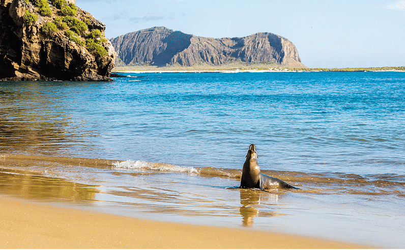 Les 5 meilleurs destinations écotourisme au Monde Les Iles Galapagose
