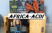 Quels seront les produits en ligne de AFRICA-ACDI