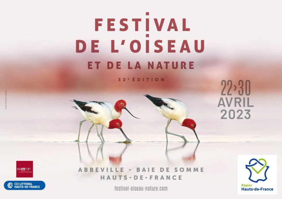Comment se rendre au festival de l'Oiseau en Picardie
