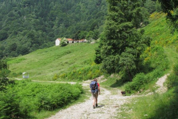 comment trouver des randonnées pour admirer le Lac de Côme La Via dei Monti Lariani